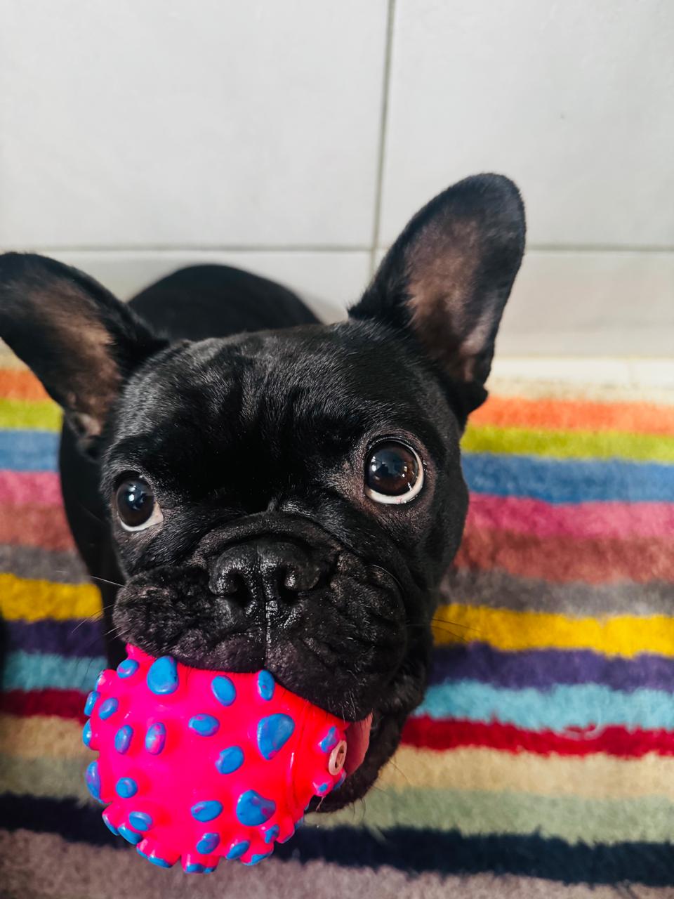 Foto de Jade